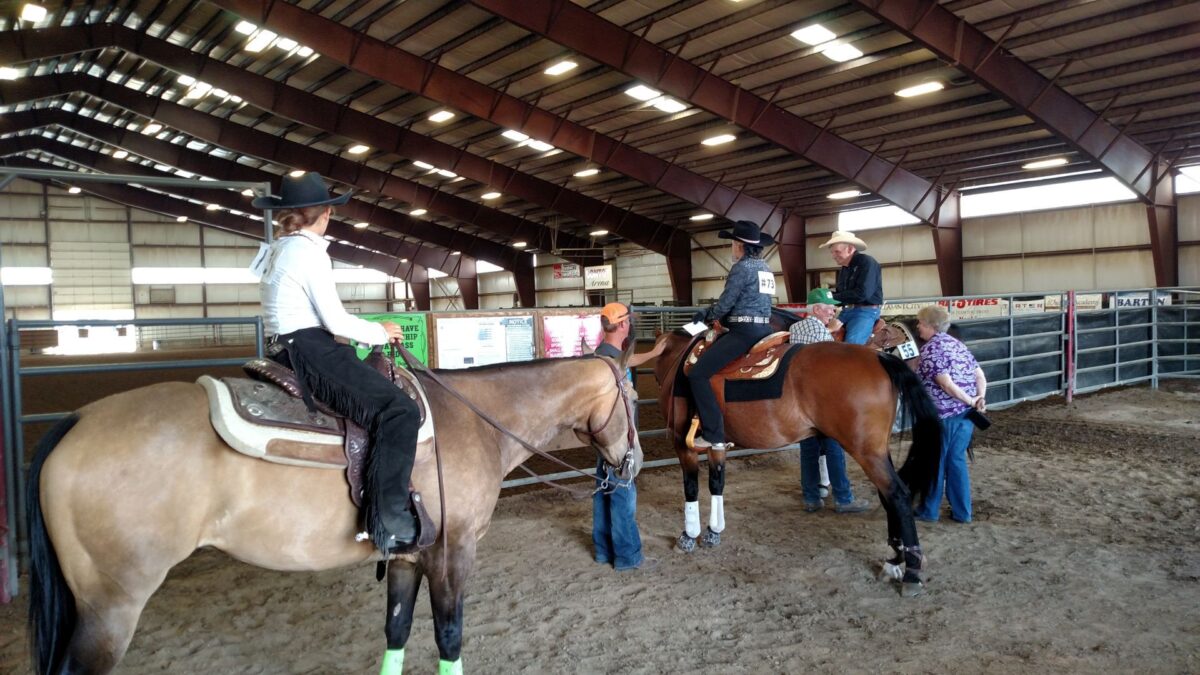Panorama Horse Show Circuit Returns To ConToy Arena News Sports Jobs Daily Herald